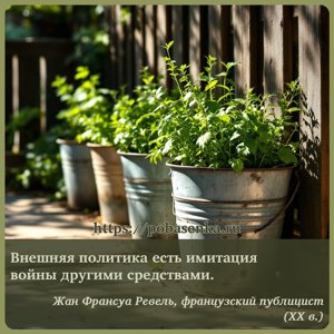 Внешняя политика есть имитация войны другими средствами.