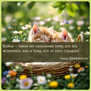 Война такое же наказание тому, кто его исполняет, как и тому, кто от него...