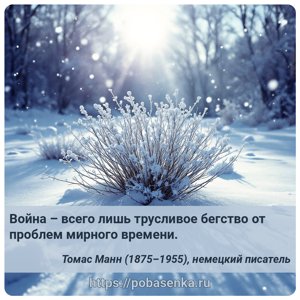 Война всего лишь трусливое бегство от проблем мирного времени.