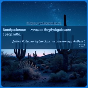Воображение лучшее возбуждающее средство.
