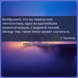 Вообразите, что вы перепутали гиппопотама, одно из крупнейших...