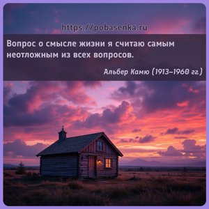 Вопрос о смысле жизни я считаю самым неотложным из всех вопросов.