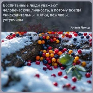 Воспитанные люди уважают человеческую личность, а потому всегда...