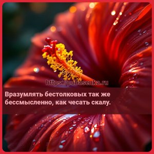 Вразумлять бестолковых так же бессмысленно, как чесать скалу.