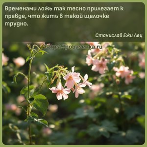 Временами ложь так тесно прилегает к правде, что жить в такой щелочке...