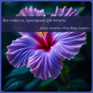 Все новости, пригодные для печати.