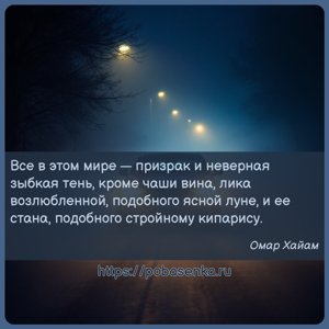 Все в этом мире призрак и неверная зыбкая тень, кроме чаши вина, лика...
