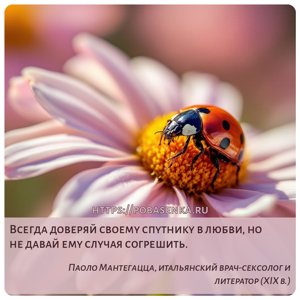 Всегда доверяй своему спутнику в любви, но не давай ему случая согрешить.