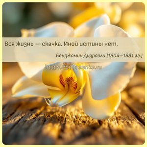 Вся жизнь скачка. Иной истины нет.