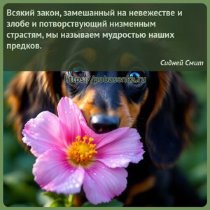 Всякий закон, замешанный на невежестве и злобе и потворствующий низменным...