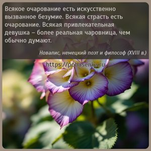 Всякое очарование есть искусственно вызванное безумие. Всякая страсть есть...