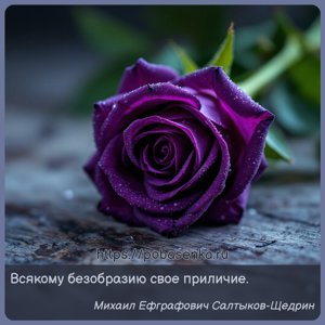 Всякому безобразию свое приличие.