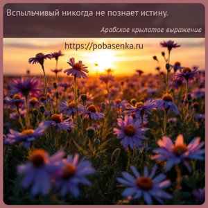 Вспыльчивый никогда не познает истину.
