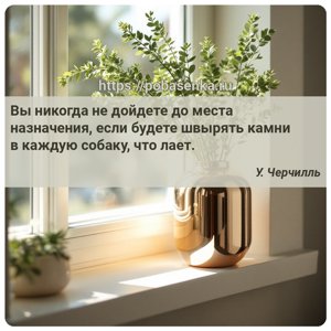 Вы никогда не дойдете до места назначения, если будете швырять камни в...