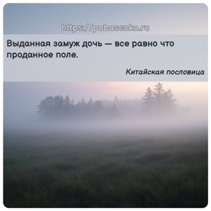 Выданная замуж дочь все равно что проданное поле.
