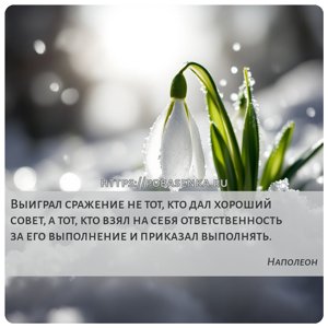 Выиграл сражение не тот, кто дал хороший совет, а тот, кто взял на себя...