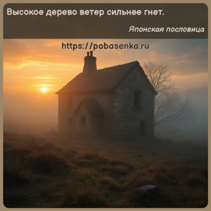 Высокое дерево ветер сильнее гнет.