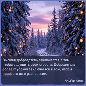 Высшая добродетель заключается в том, чтобы задушить свои страсти....