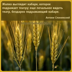 Жалко выглядит кабаре, которое подражает театру еще печальнее видеть...