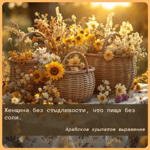 Женщина без стыдливости, что пища без соли.