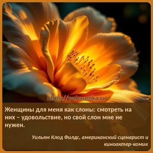 Женщины для меня как слоны смотреть на них удовольствие, но свой слон мне...