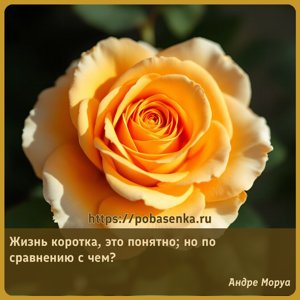 Жизнь коротка, это понятно но по сравнению с чем?