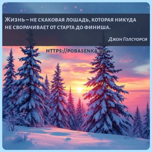 Жизнь не скаковая лошадь, которая никуда не сворачивает от старта до...