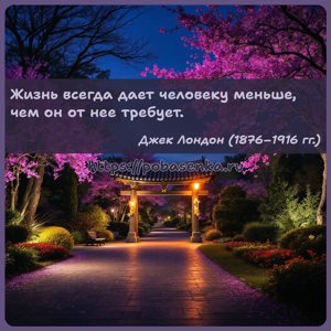 Жизнь всегда дает человеку меньше, чем он от нее требует.