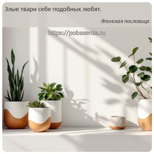 Злые твари себе подобных любят.